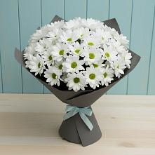 Букет цветов из:  Хризантемы #REPLACE_PRED# Старой Кулатке