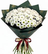 Букет цветов из:  Хризантемы в Старой Кулатке