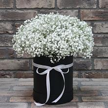 Цветочная композиция из Гипсофила в шляпной коробке в Старой Кулатке